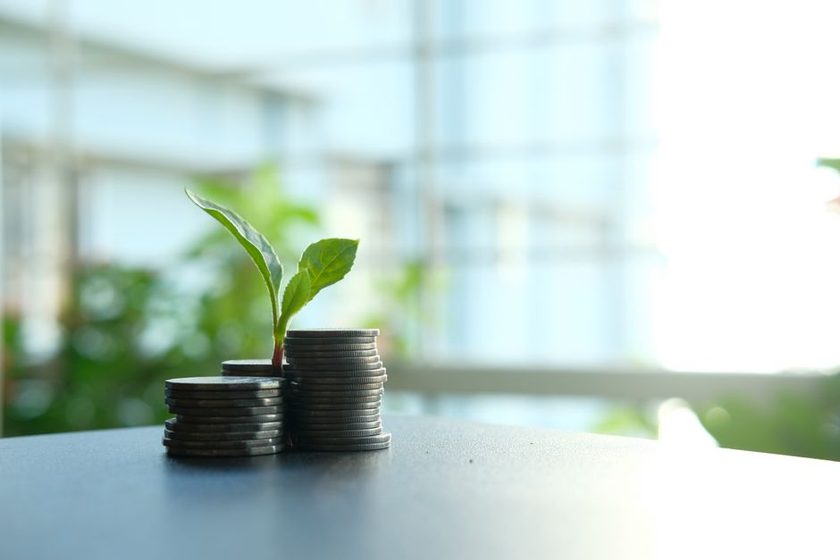 Tesouro Direto e CDB: opções de investimento em renda fixa